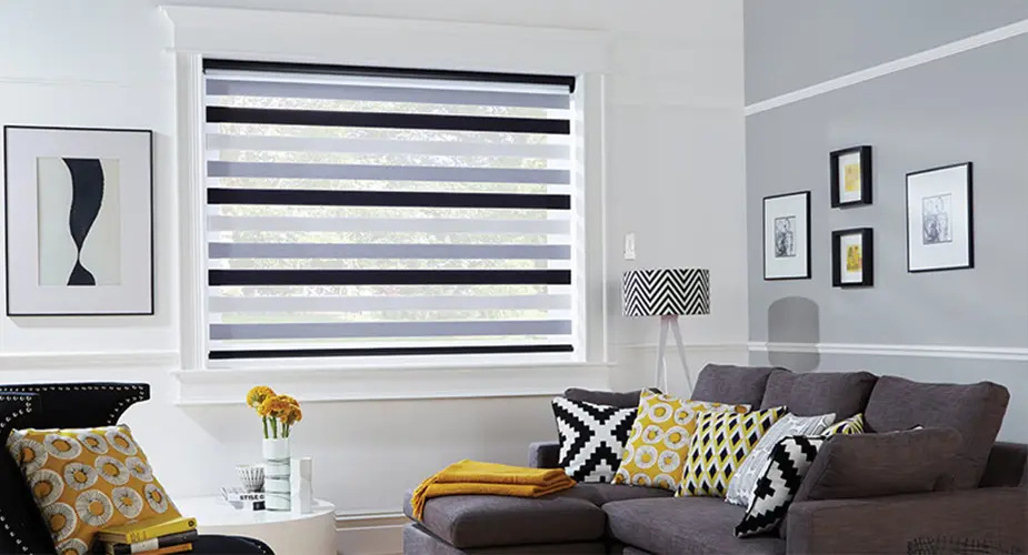 What are Zebra Blinds?